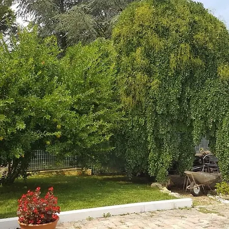 Appartement Barone *