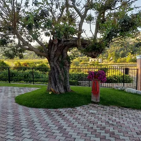 Apartamento Barone Selva Di Fasano